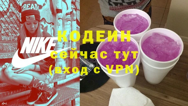 индика Липки