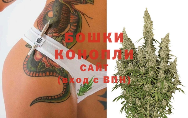 индика Липки