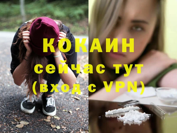 индика Липки