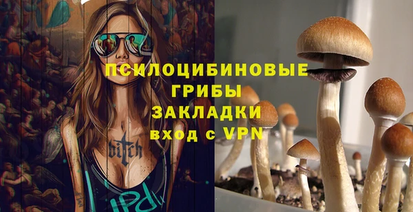 индика Липки