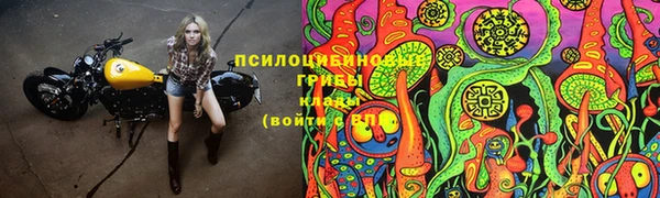 2c-b Лиски