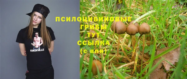 2c-b Лиски