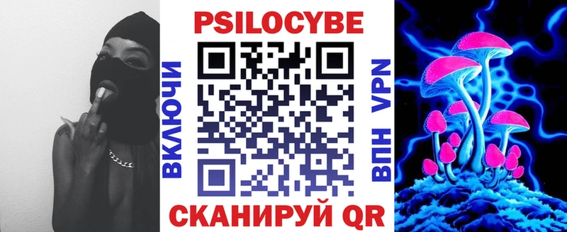 где найти наркотики Навашино Галлюциногенные грибы Psilocybe